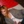 stephany_