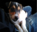stavros_7_