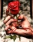 sweet_princes